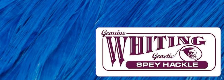 WHITING ホワイティング スペイハックル ハックル 杜の家ブルック 通販