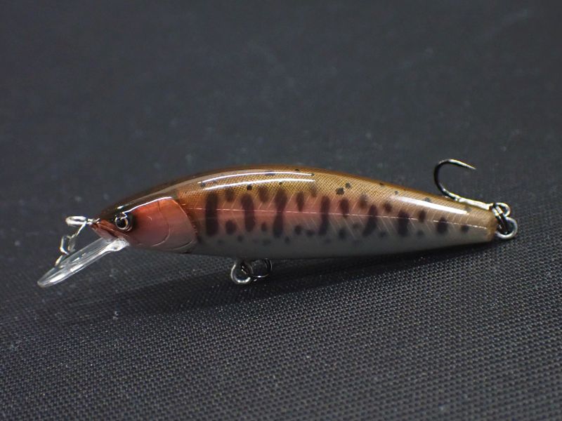 ハンドメイドルアー RAYTUNE レイチューン 杜の家ブルック 通販(並び順