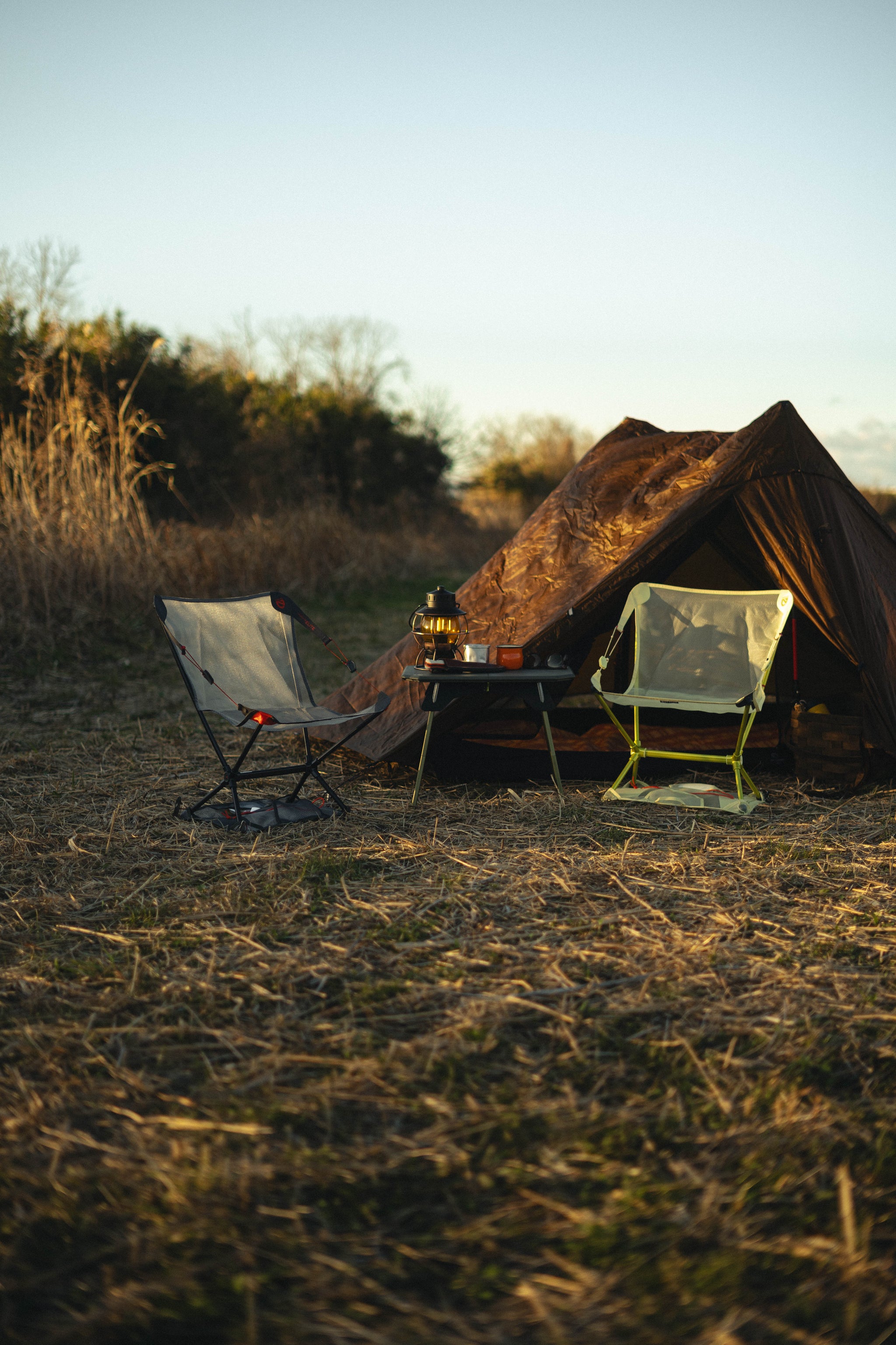 DSC06712_2048x.jpg?v=1709022522