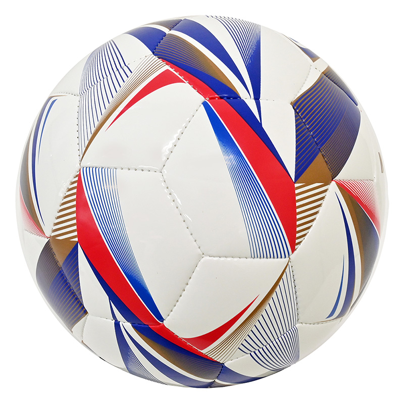 サッカーボール 練習球 5号 ホワイト 一般・大学・高校・中学用