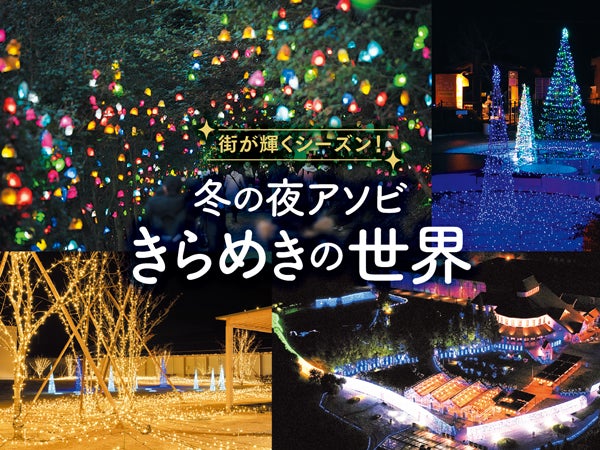 きらめく夜の世界！2023-2024愛媛のイルミネーション&ライトアップ