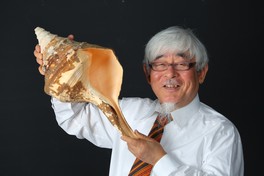 三重県総合博物館で「知ってる貝！見てみる貝！貝のヒミツ」が開催中