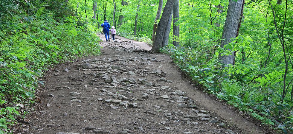 もいわ山の登山 – 札幌もいわ山ロープウェイ