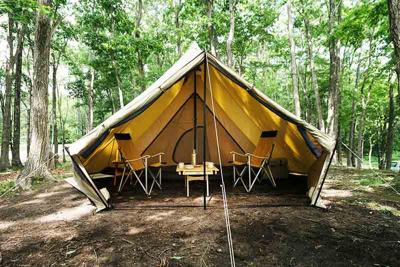 モーニンググローリーTC】サバティカルの魅力いっぱいのワンポール