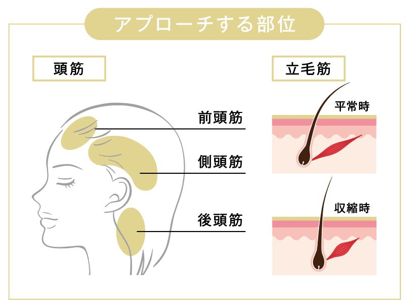 頭皮＆美肌ケアに◎話題の電気ブラシの効果や使い方を徹底レビュー