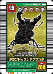 029】タランドゥスツヤクワガタ