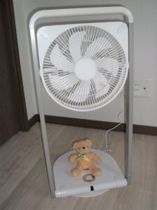 fan2-225x300.jpg