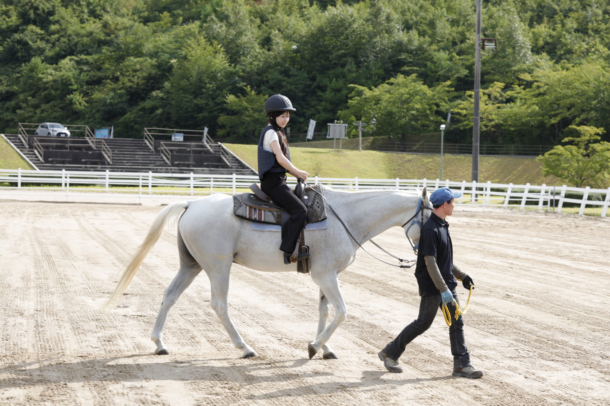 2026午年の注目スポット！優しい馬とふれあえる癒しの施設。初心者OKの