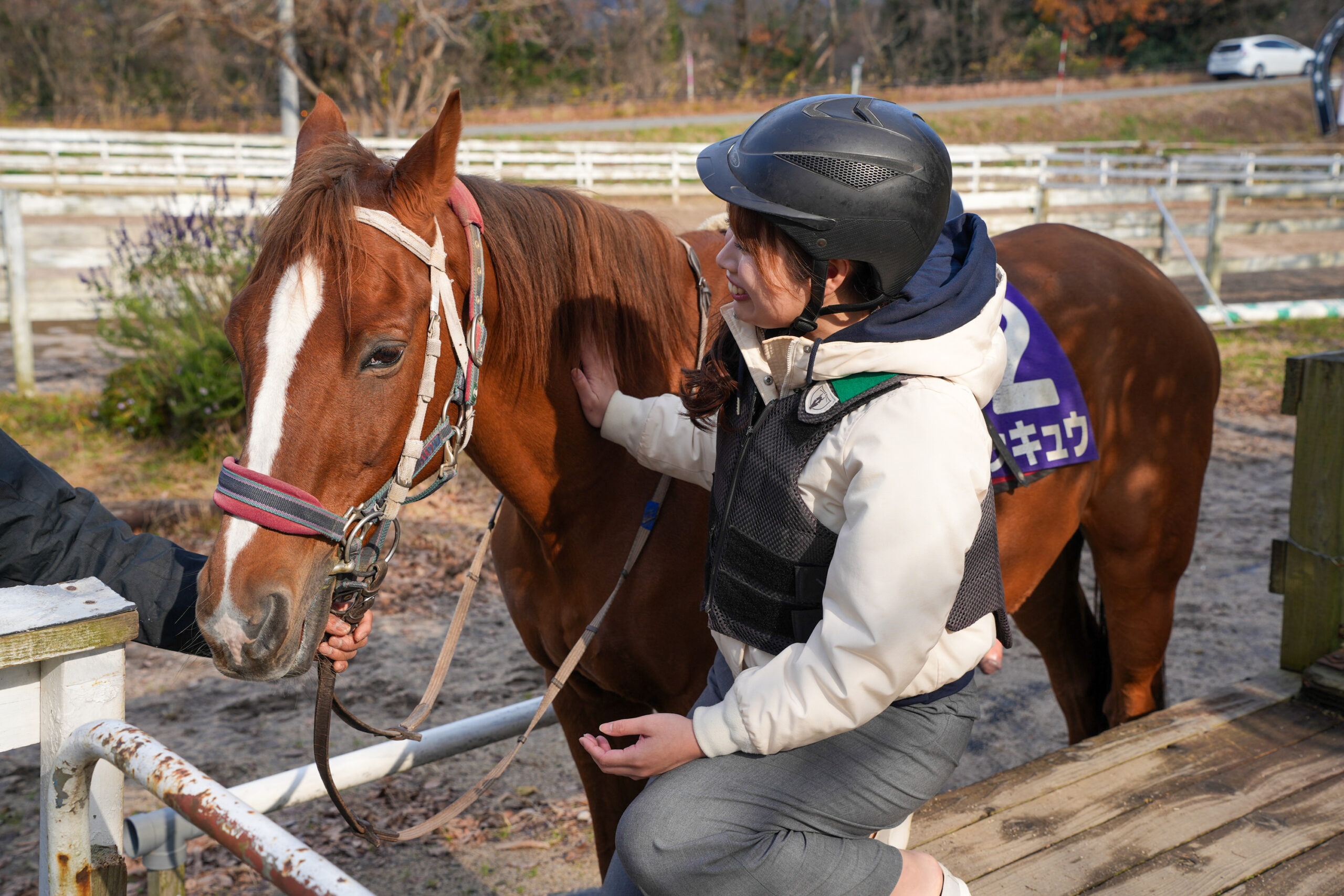 2026年うま年に注目！元競走馬と出会える乗馬センター！大山の麓で