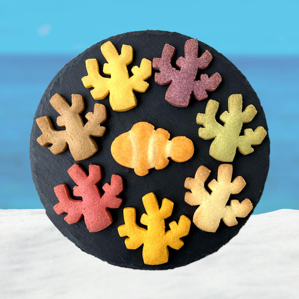 沖縄 海のかけら〔限定販売商品〕 | 南都物産株式会社