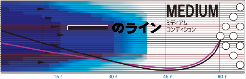 STORM REAL ABSOLUTE リアル・アブソリュート 丨ボウリング口コミ/評価
