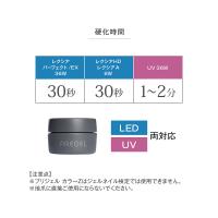 PREGEL カラーZ 3g PZ-003C クリアボルドー / NESオンラインショップ