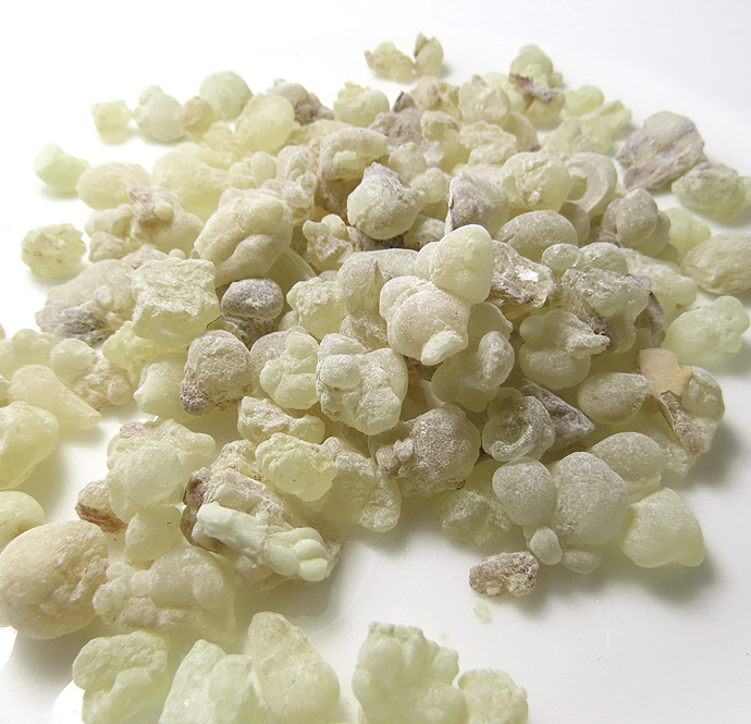 フランキンセンス・オマーン産 乳香（ファイン）Boswellia sacra 15g