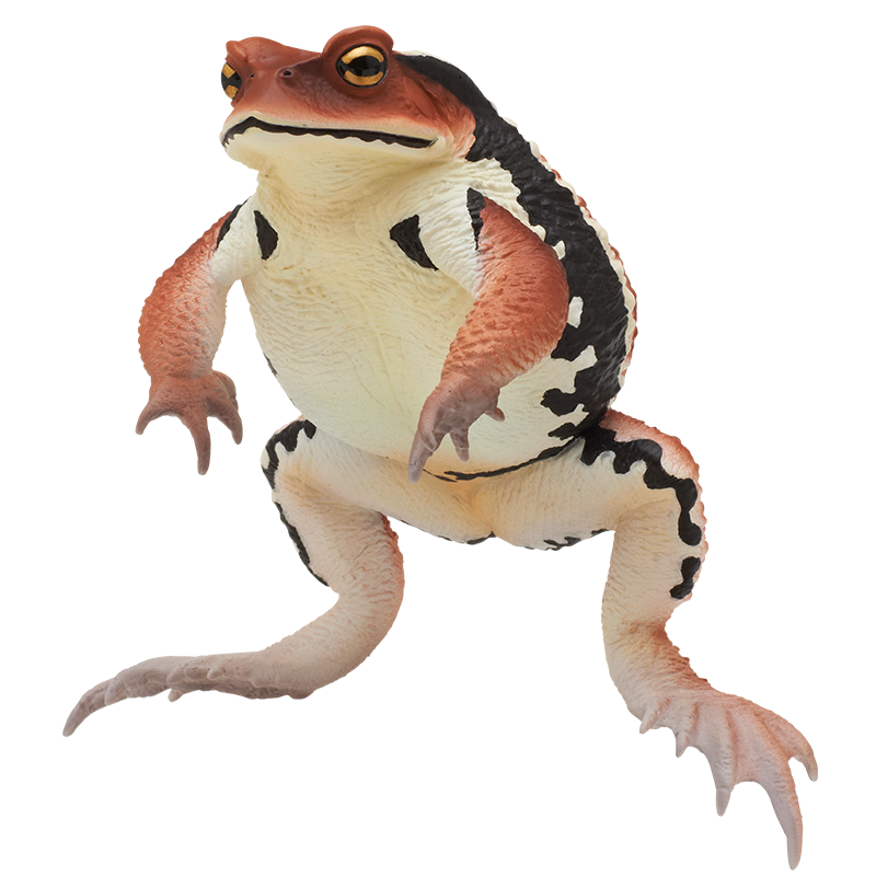 BigToad_02b.png