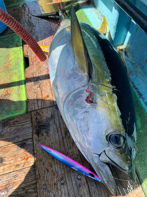 WiggleRider160g_300g – natureboysofficialwebstore