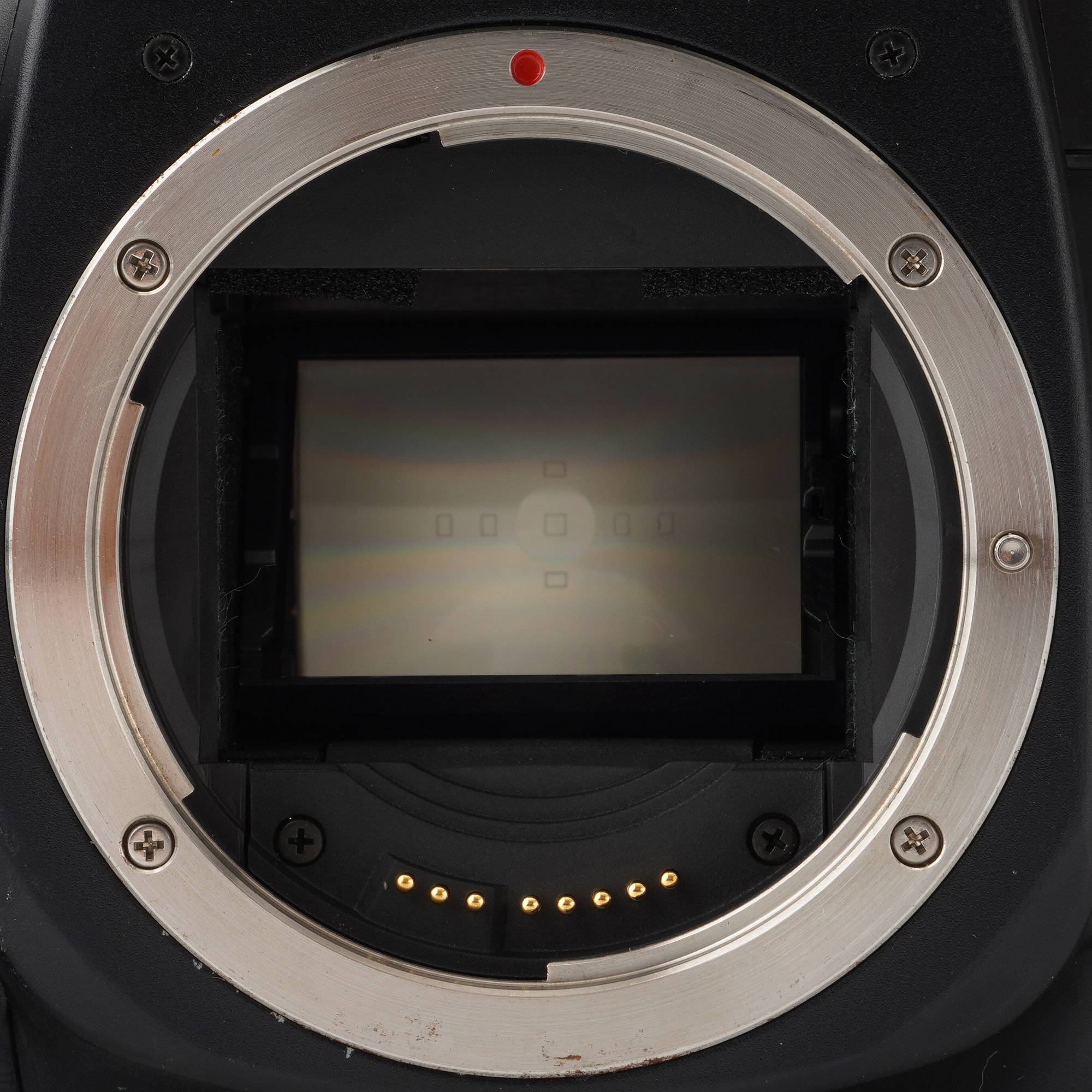 キヤノン Canon EOS 7 35mm 一眼レフフィルムカメラ – Natural Camera