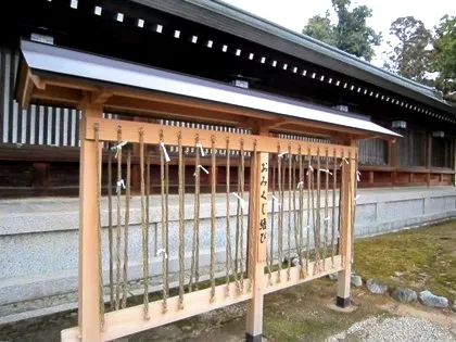 橿原神宮のジャンボ絵馬！巳年 | 奈良の宿大正楼