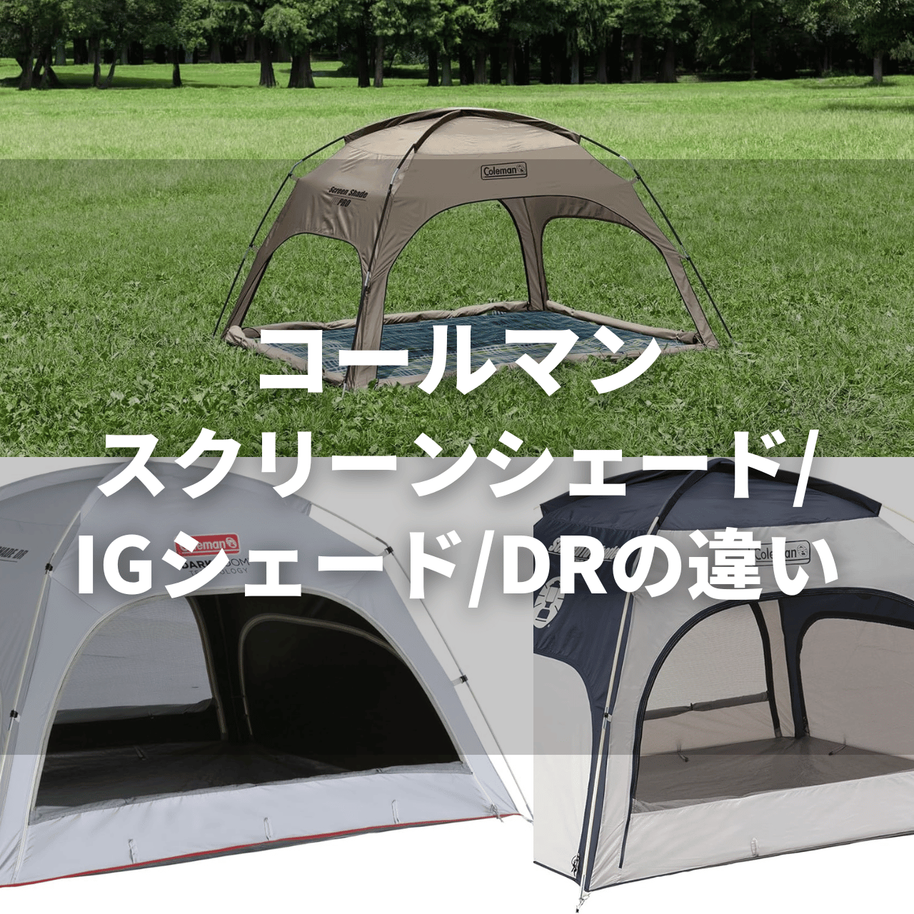 2025年 】コールマン スクリーンシェード・IGシェード・DRの違いを