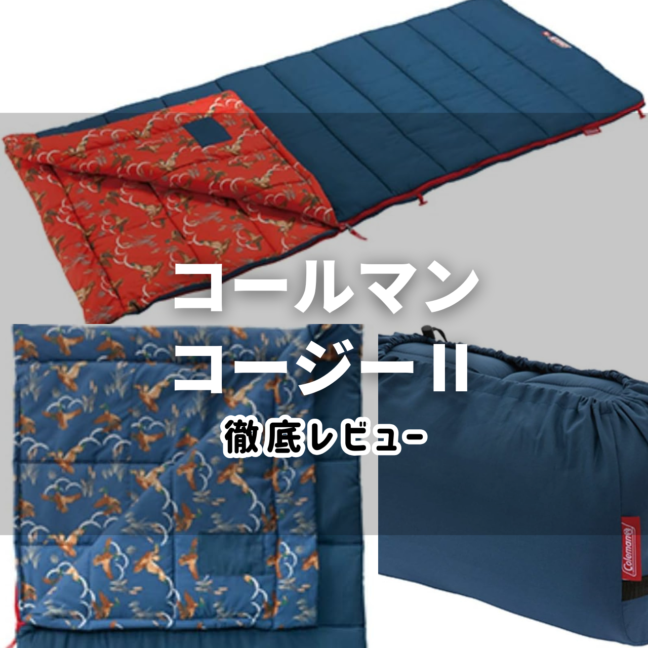 2025年】コールマン コージーⅡ(C10/C5)の実力は？特徴・注意点・動画