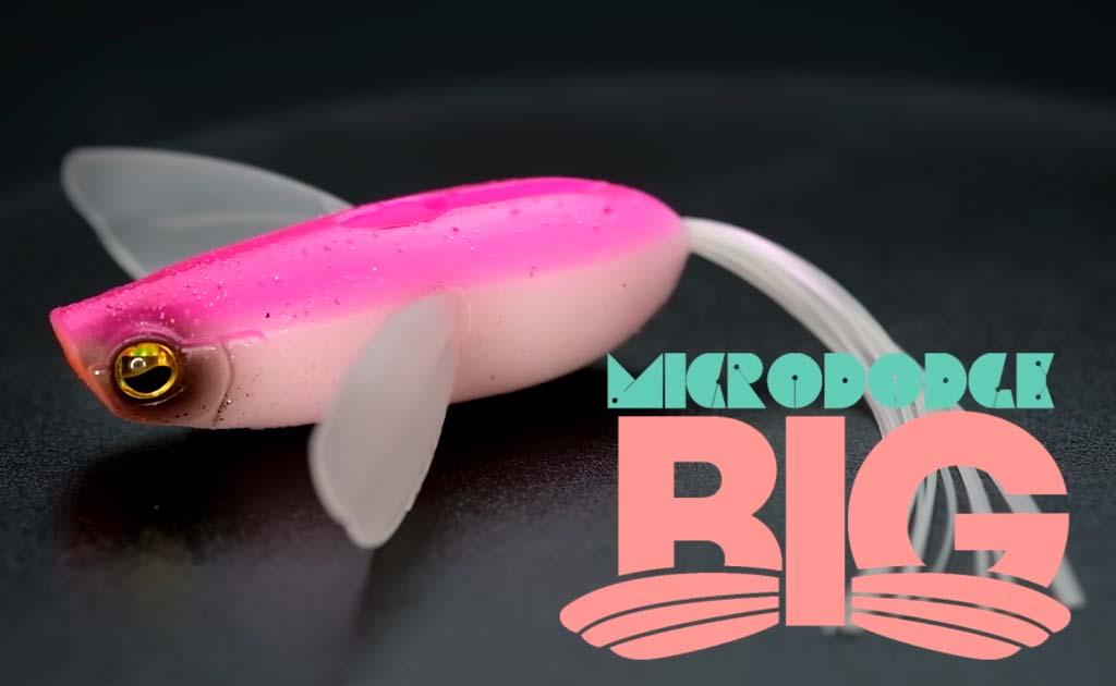 レイドジャパン2022新製品ルアー・ワームまとめ！ | ネスブログ