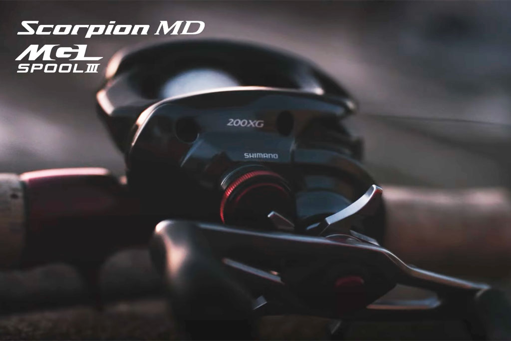 シマノ新製品「24スコーピオンMD」200サイズが登場！ | ネスブログ