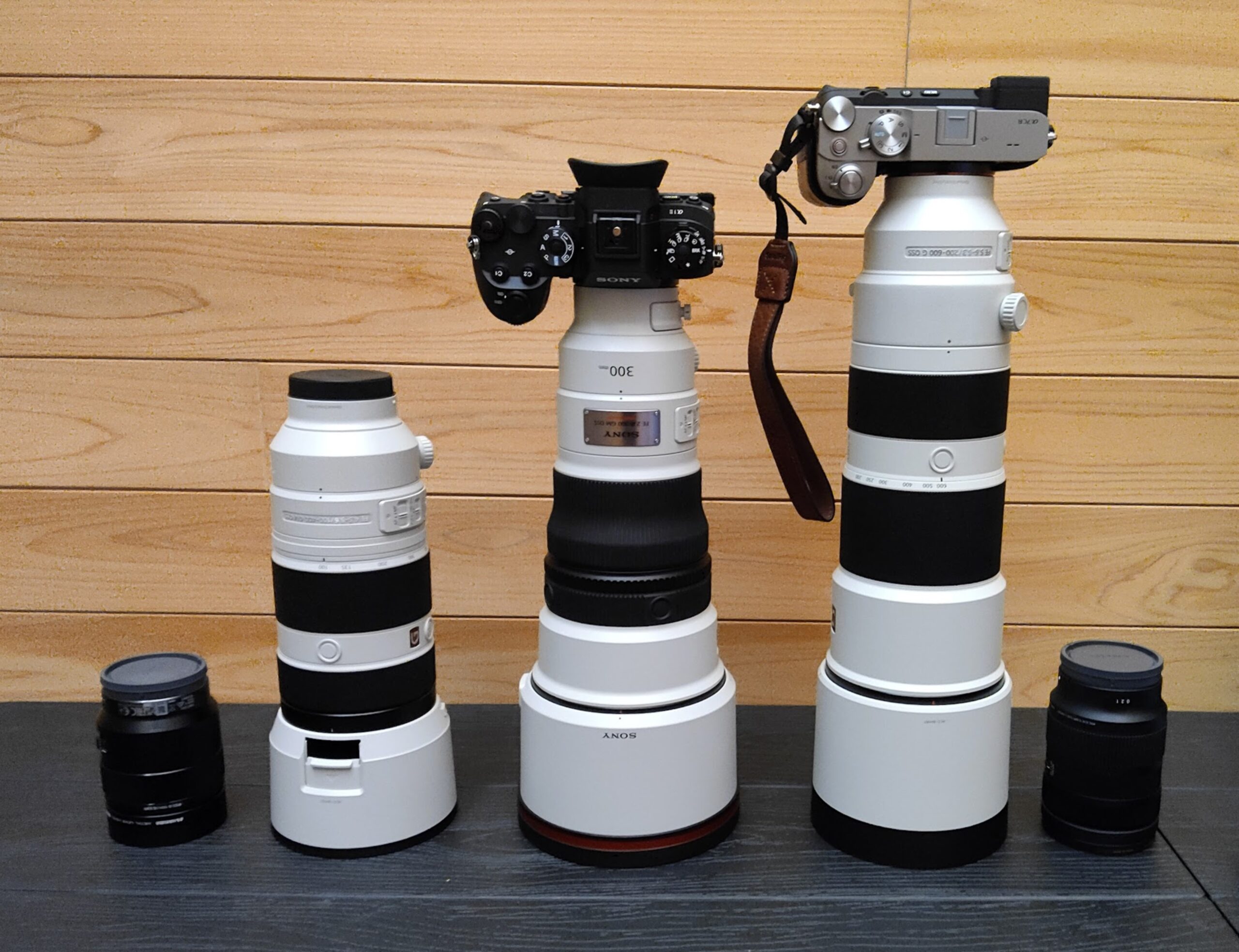 SEL300F28GMレビュー】90万円の最高級単焦点「望遠レンズ300mmF2.8」で