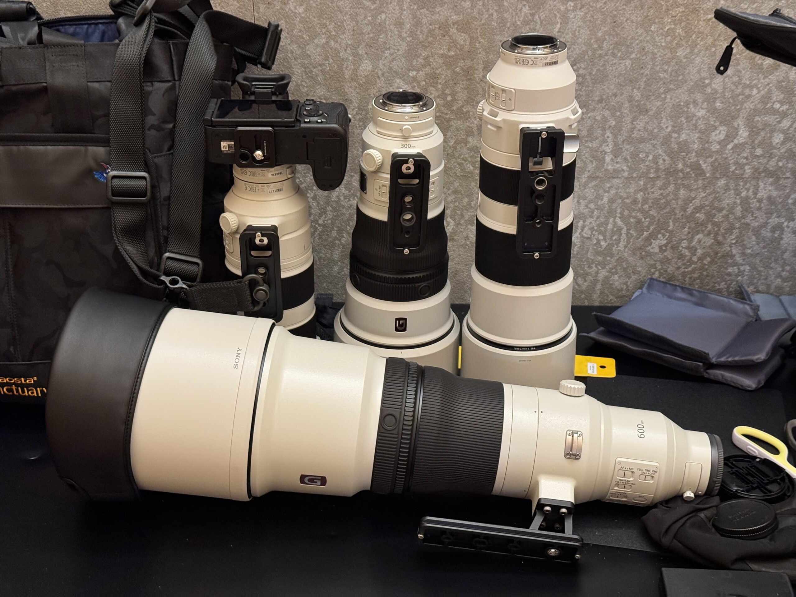 レビュー】小型な「100-400mm＋1.4倍テレコン」は野鳥撮影に使えるのか