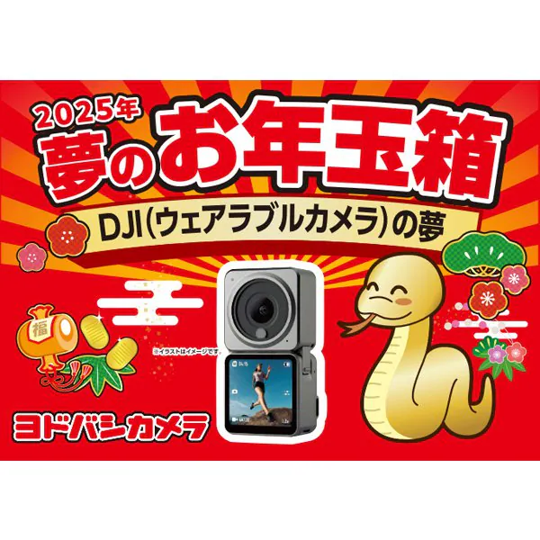 ヨドバシカメラの福袋「夢のお年玉箱」2025年を予想しよう✨ | 晴笑雨