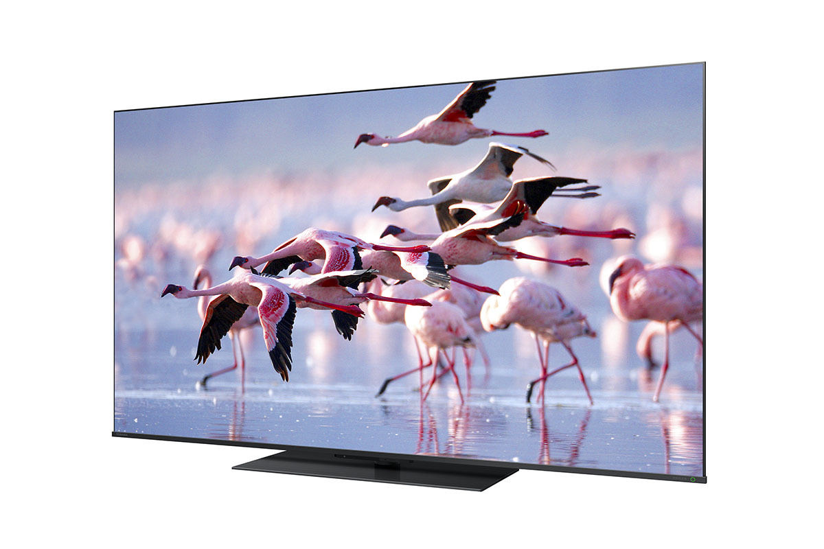 REGZA、Android TV搭載の4K有機EL/液晶7機種。ゲーミング強化も | マイ