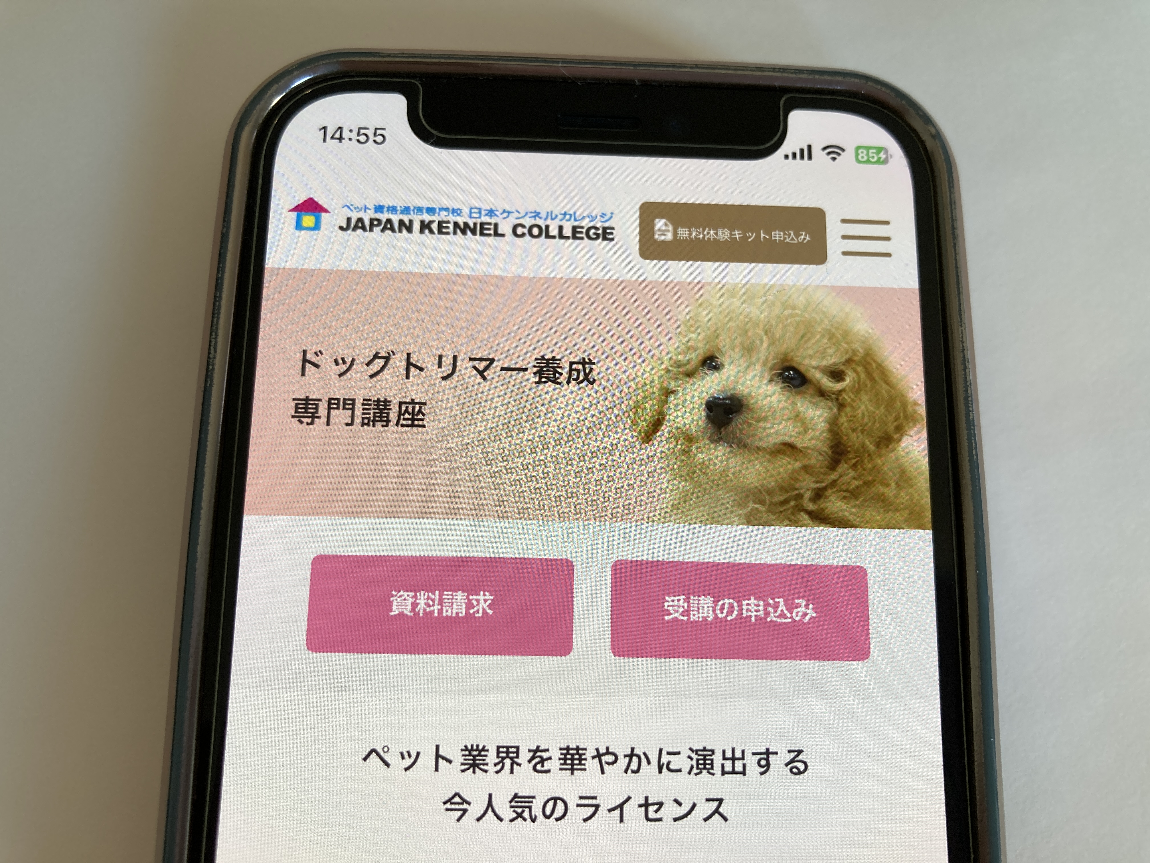 トリマーにおすすめの通信講座5選と失敗しない選び方 | おすすめの資格