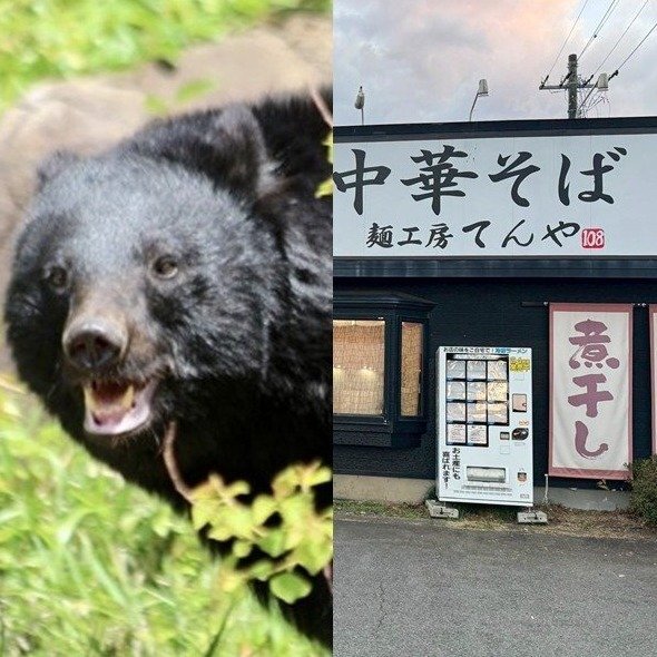 青森・クマがラーメン店襲撃〉「笑えないです」ボコボコにしてクマを