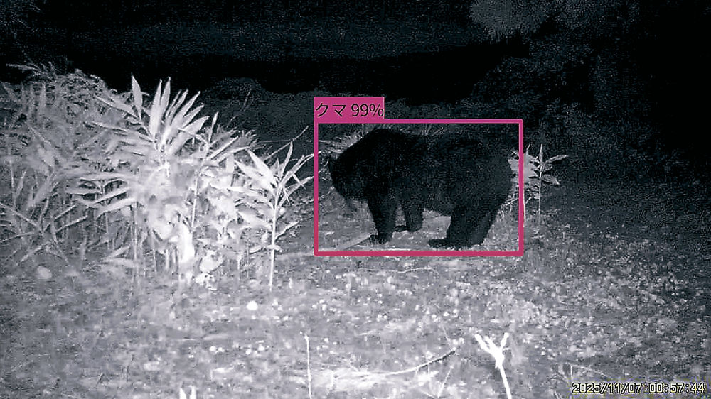 20251119-02033492-hokkoku-000-