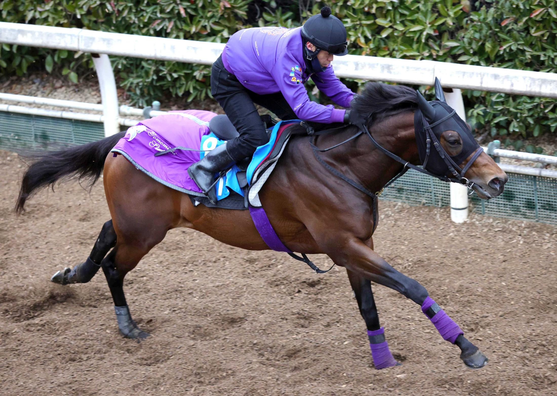 ラピスラズリ」の検索結果 - Yahoo!ニュース