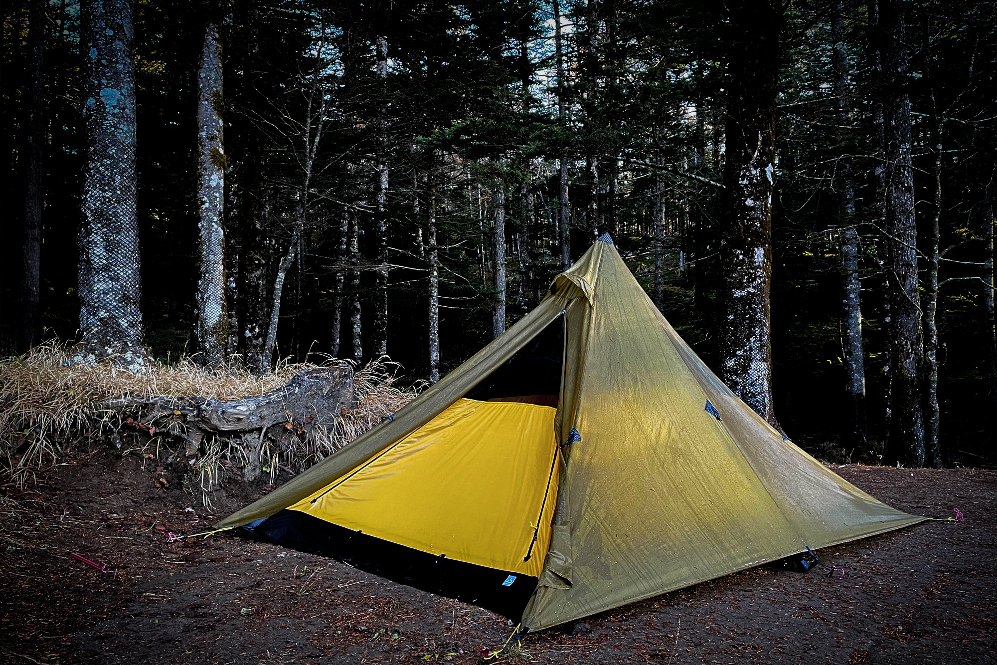 レビュー】とにかく美しいシェルター LOCUS GEAR Hapi Sill「ローカス