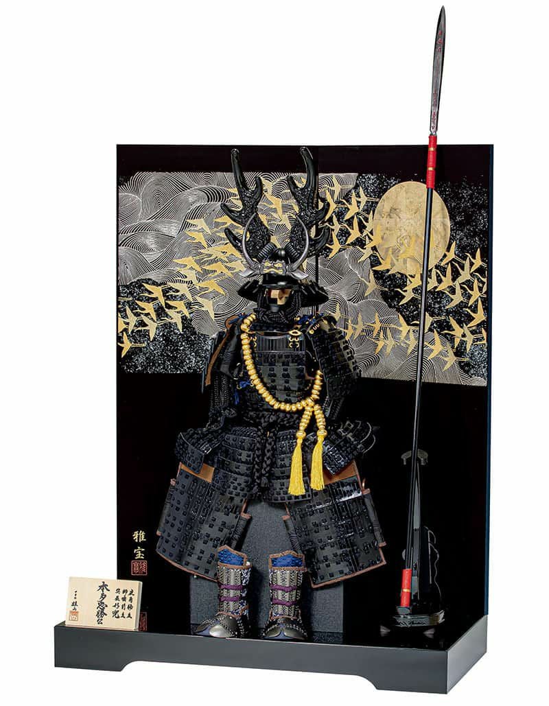 000000002344-01.jpg?size=m&w=