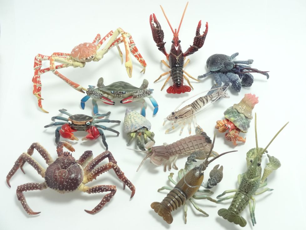 原色甲殻類エビ・カニ図鑑