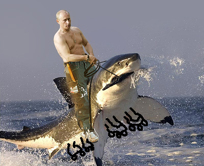 床ジョーズ Jaws 1975 – ネオボス 面白ニコビデオ