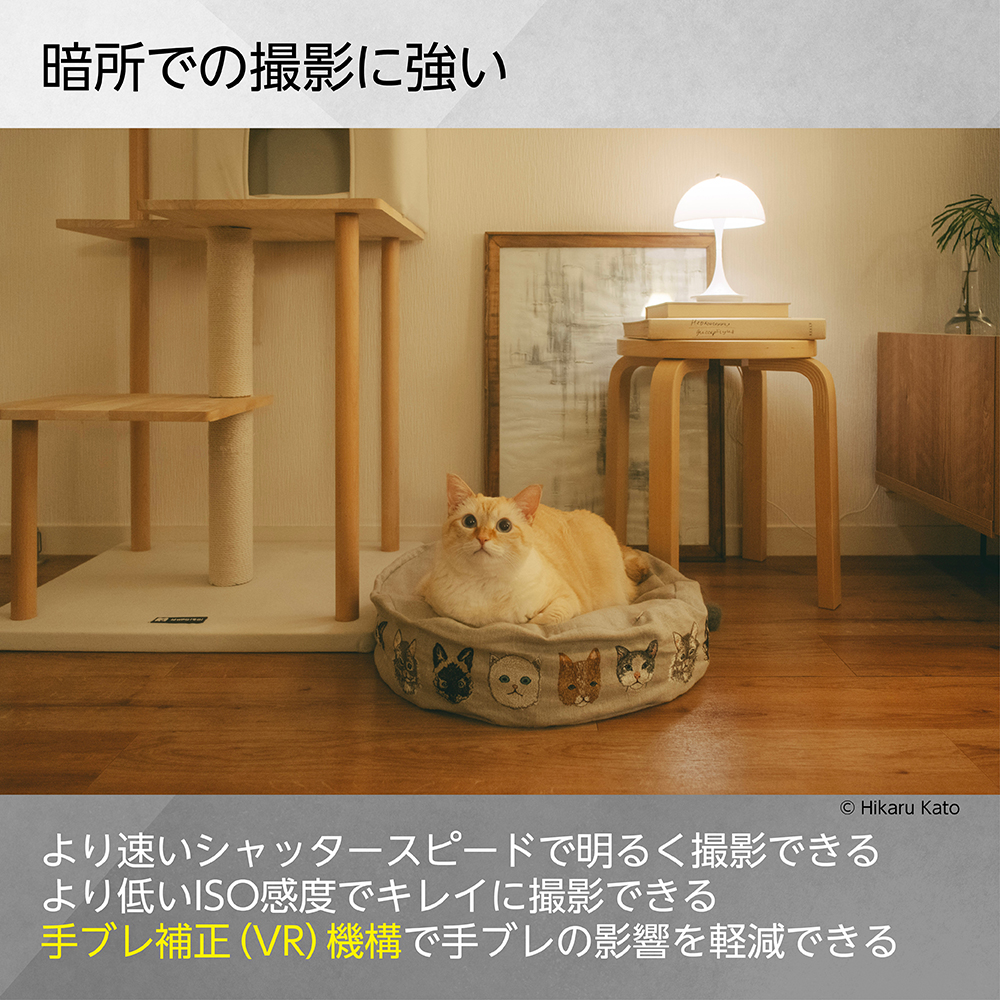 NIKKOR Z DX 16-50mm f/2.8 VR - 公式通販 | Others ズームレンズ