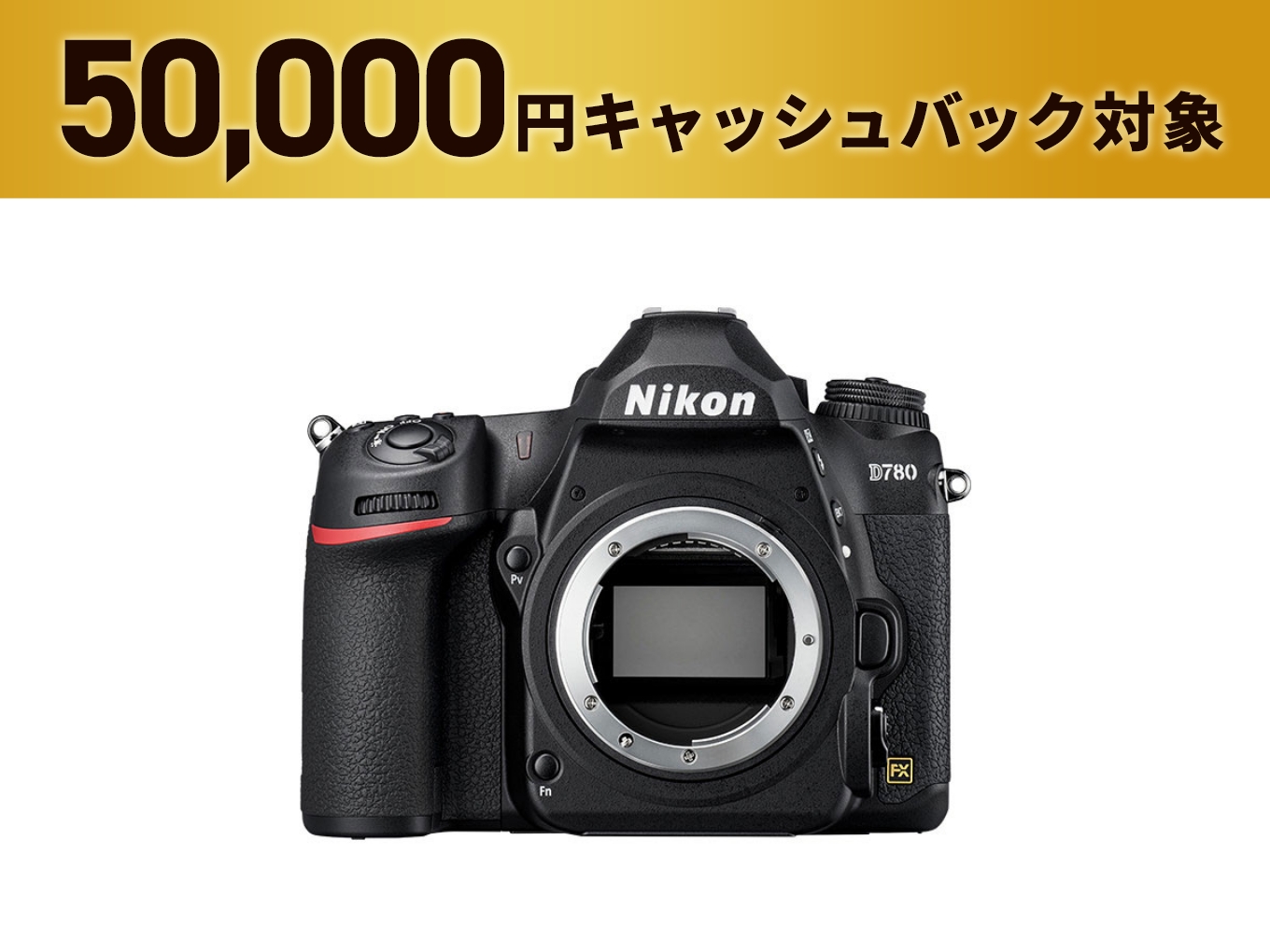 ニコン Nikon F3 アイレベル + Ai-S NIKKOR 50mm F1.2 フィルム ニコン