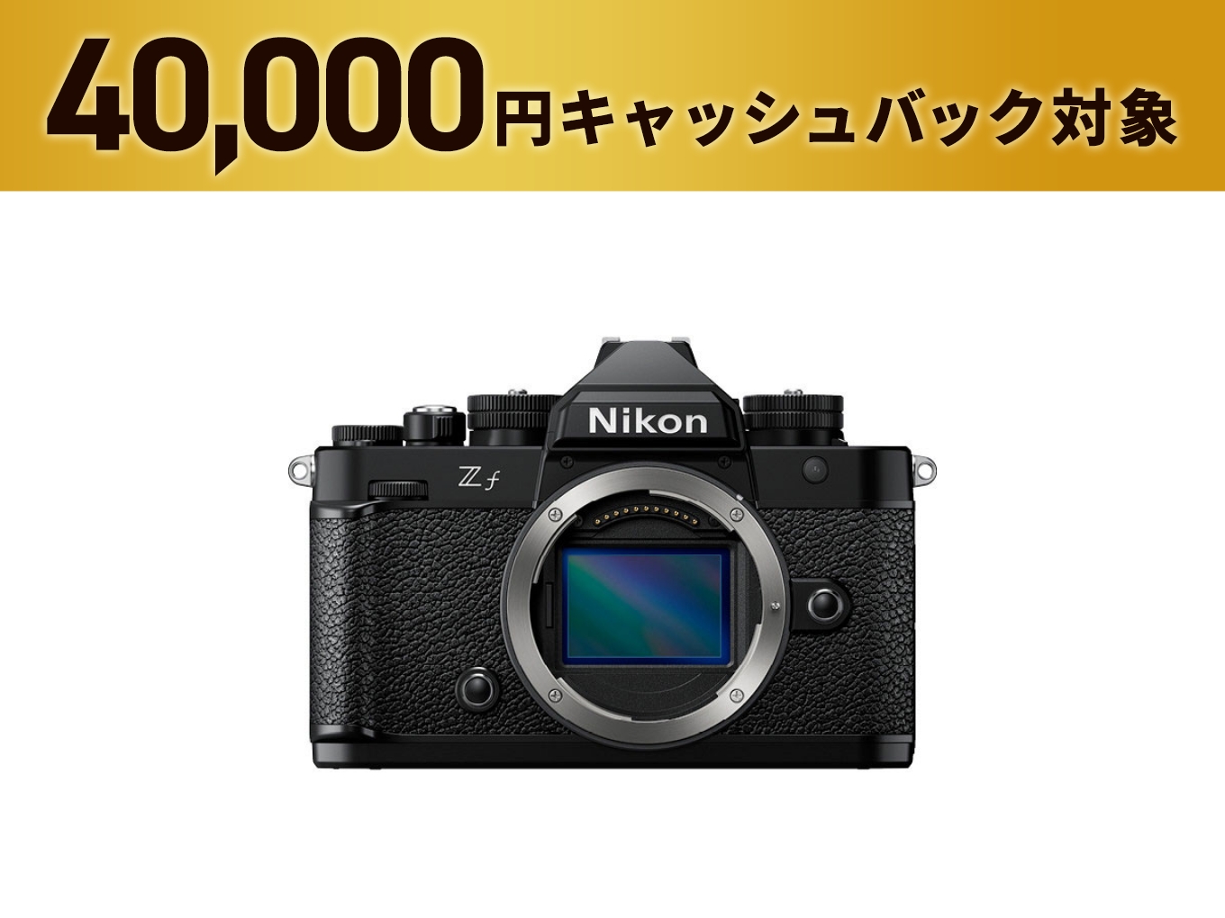 Zf - 公式通販 | ミラーレスカメラ | NikonDirect - ニコンダイレクト
