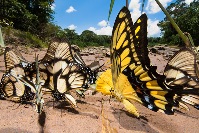 DX 10-24mm f/3.5-4.5。大自然の深奥を撮る。