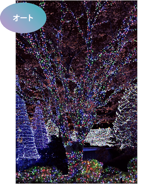 テーマパーク写真 かんたん撮影ガイド 入門編 | ニコンイメージング