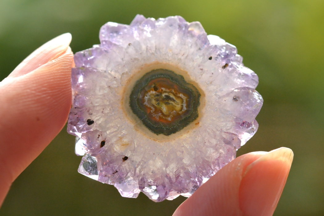 フラワーアメジストスライス（両面研磨）【5】ルース・カボション