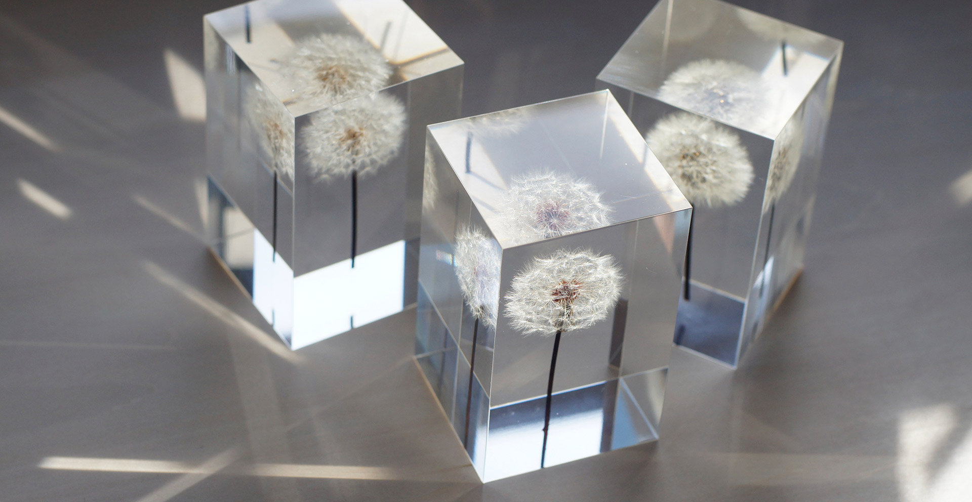 井上 隆夫 Artist / Cinematographer / Researcher of Shiro Kuramata