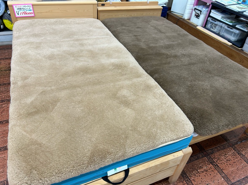 ムートンシーツ購入で気を付けたい、「価格」の話 - 【浜松】13,200円