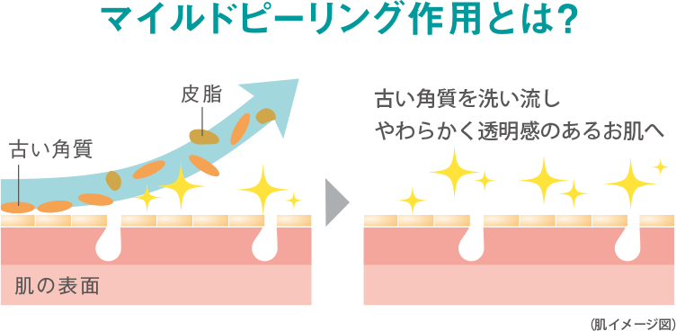 積極的なにきび肌ケア ノブ ACアクティブシリーズ｜ノブ公式