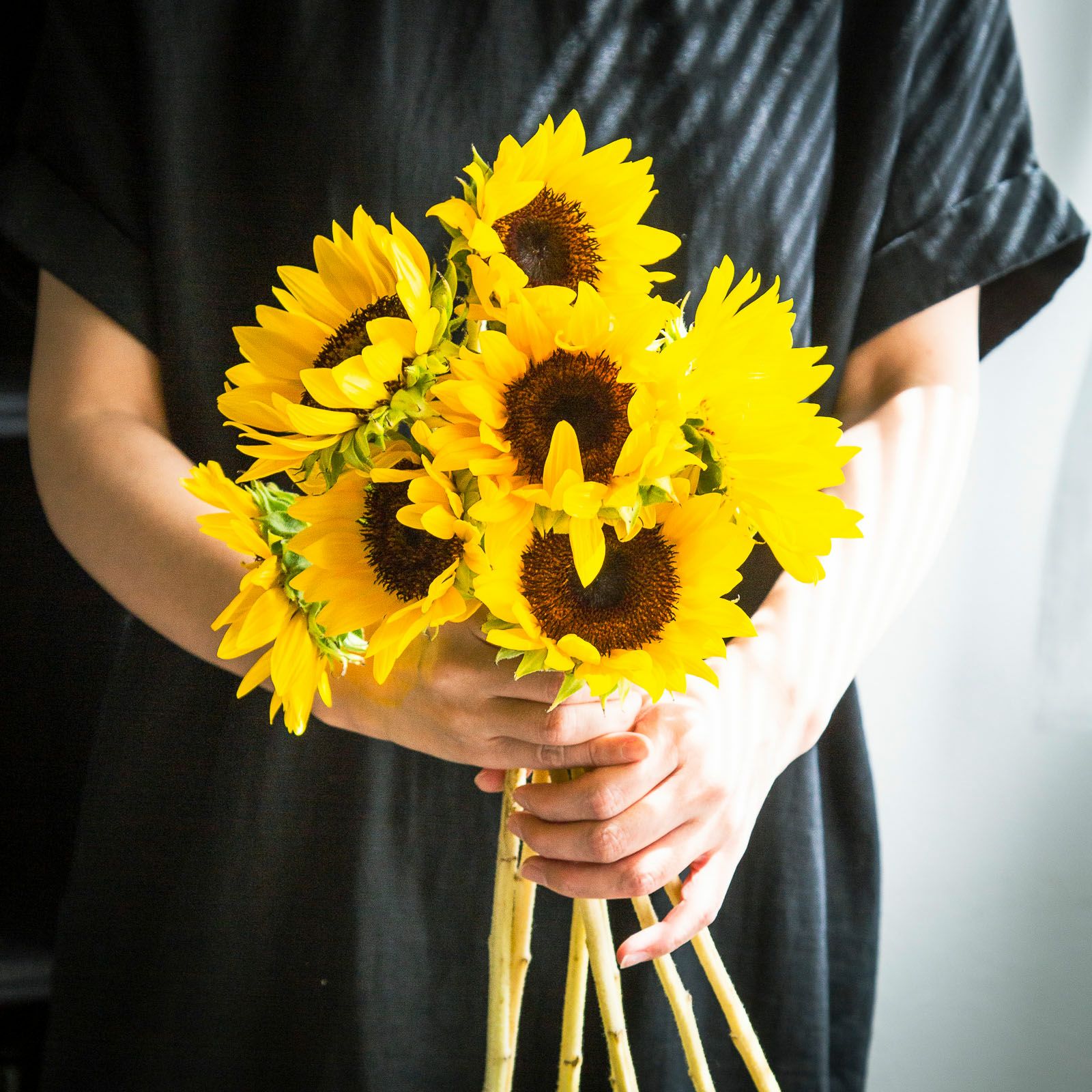 もったいない花いちばひまわり(7本) | noemie（ノエミ）