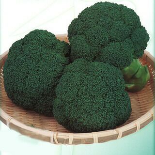 000000009542-01.jpg?size=l&w=