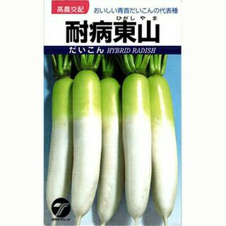 000000018187-01.jpg?size=l&w=