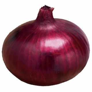 玉ねぎ苗 | 農業屋.com